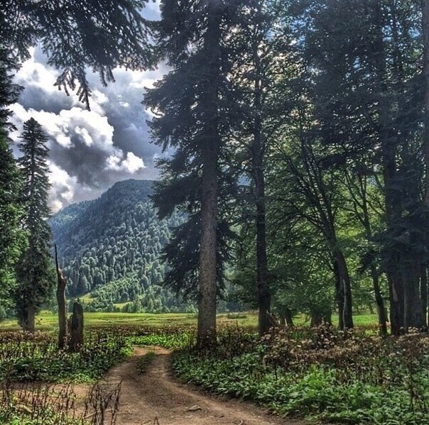 Abkhazia (Apsny) - 9