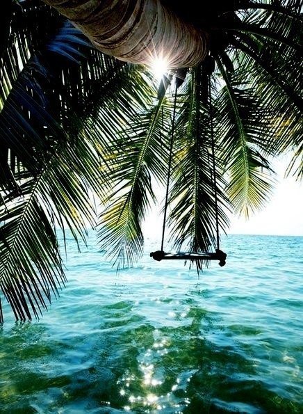 Charm of the Maldives - 5