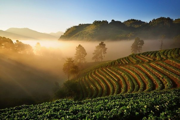 Дивовижні фотографії Китаю