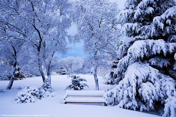 Зимний Рейкьявик, Исландия - 7