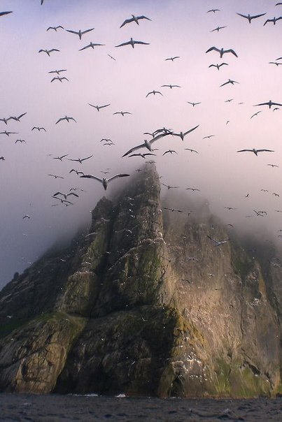 The Archipelago of St. Kilda, Scotland