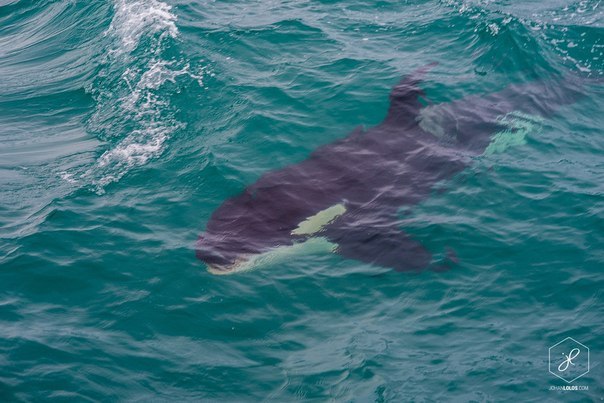 Путешествие по Новой Зеландии - 9