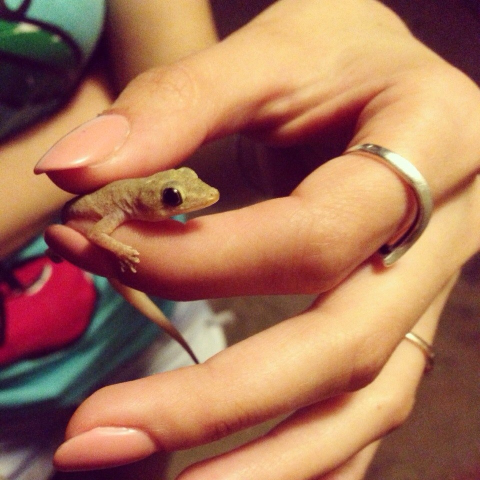 Мальдіви ❤️ - 6