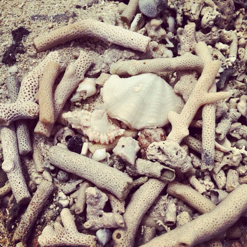 Мальдіви ❤️ - 5