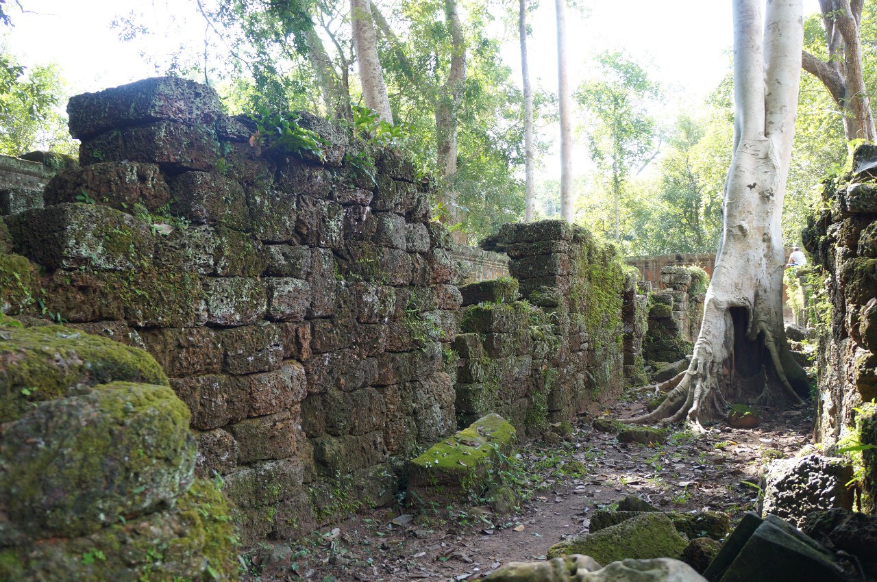 Angkor, Cambodia - 6