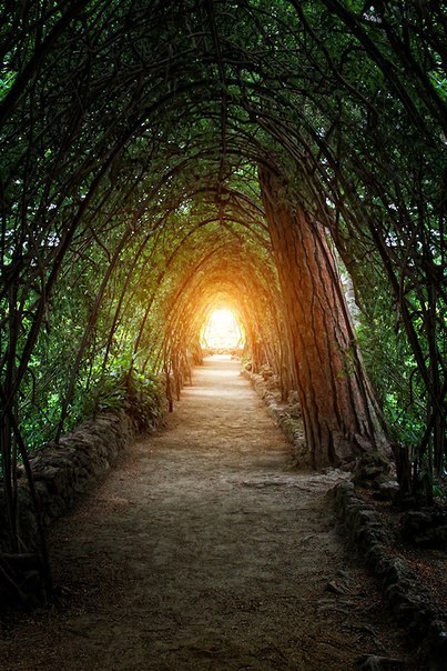 Парк Гуэля, Барселона, Испания - 5