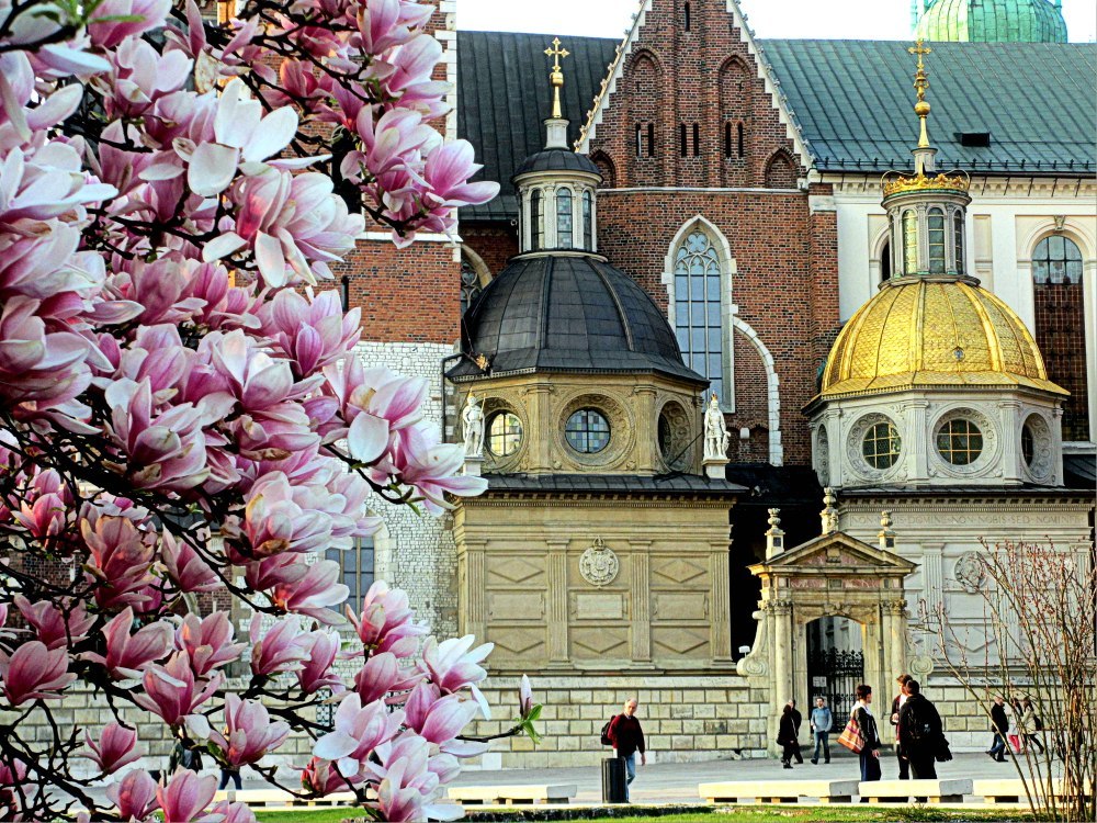 Краков, Польша - 5