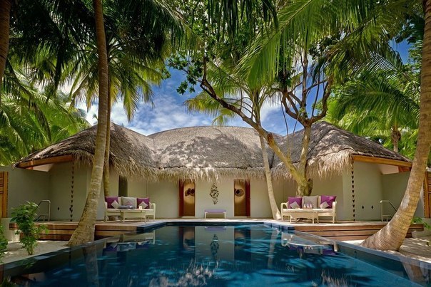 Мальдивы.. - 5