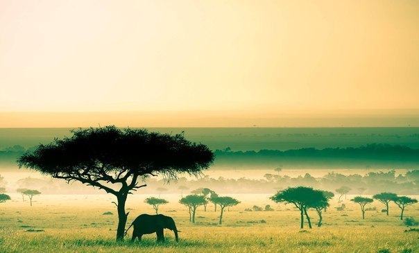 Кения - сердце Черной Африки