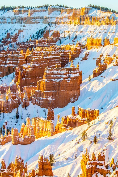 Природа Северной Америки