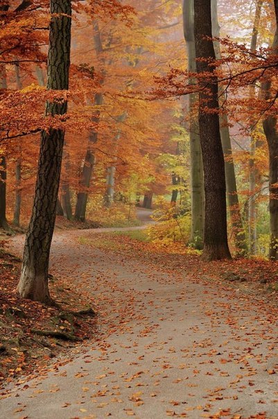 Мюнхен, Бавария, Германия - 5