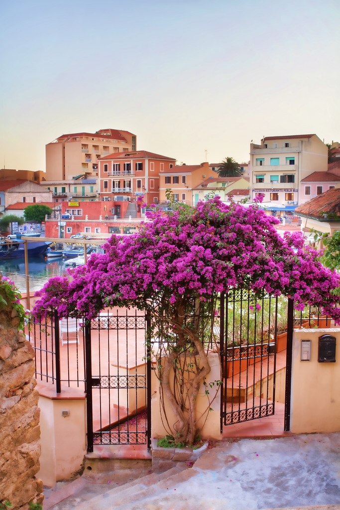 Остров Сардиния, Италия - 5