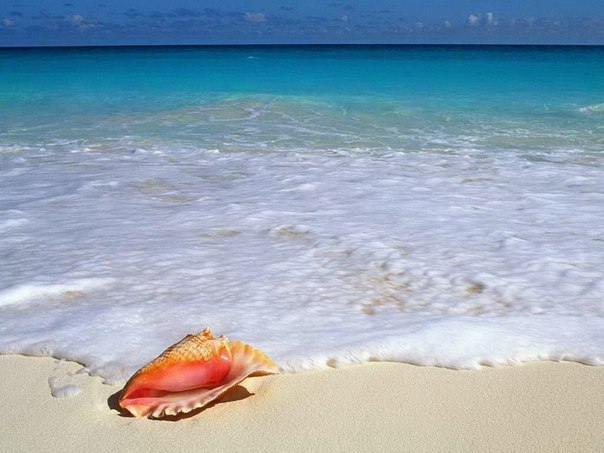 A piece of paradise. Hawaii, Maldives, Bora Bora and other heavenly corners of the Earth - 5