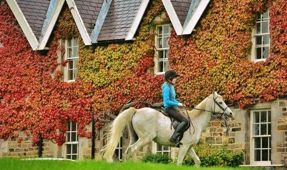 Осенний Кембридж, Англия - 7