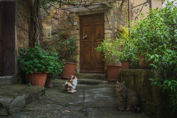 The charm of Tuscany: the town of Soran - 7