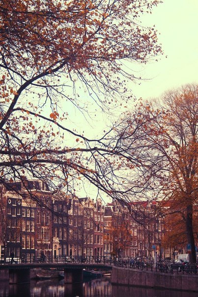 Амстердам, Нидерланды - 5