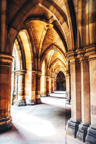 Университет Глазго, Шотландия - 5