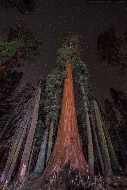 Природа Северной Америки - 5