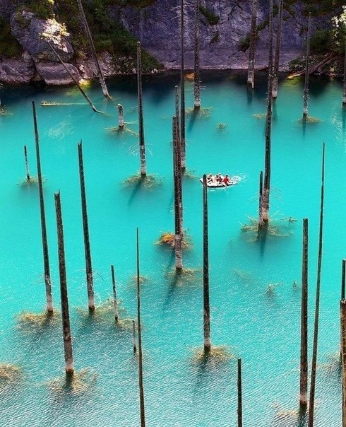 Озеро Каинды - затонувший лес в Казахстане - 5