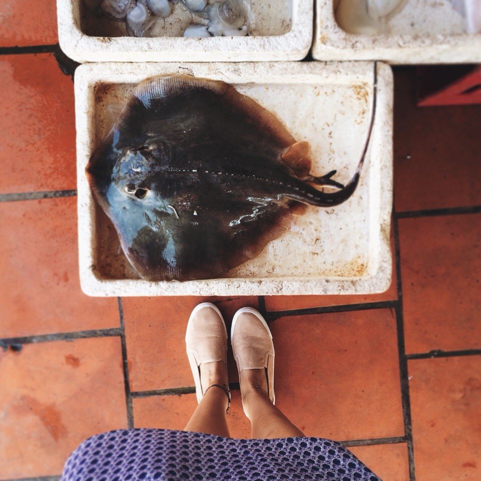 Lost in paradise. Vietnam