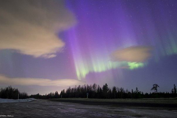 Північне сяйво в Мурманської області, Росія - 4