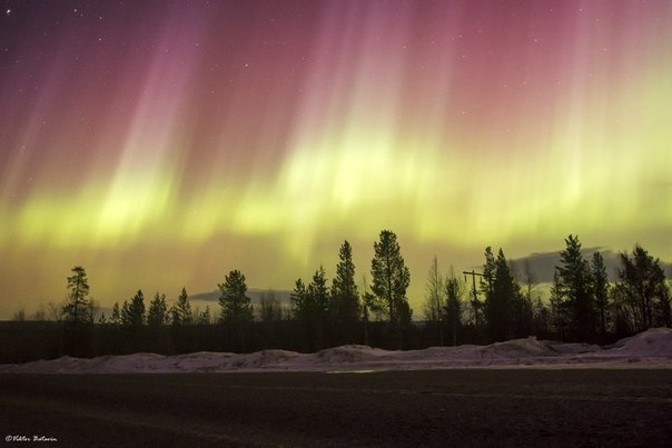 Північне сяйво в Мурманської області, Росія - 2