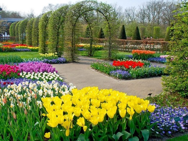 Парк Кекенхоф, Нидерланды - 8