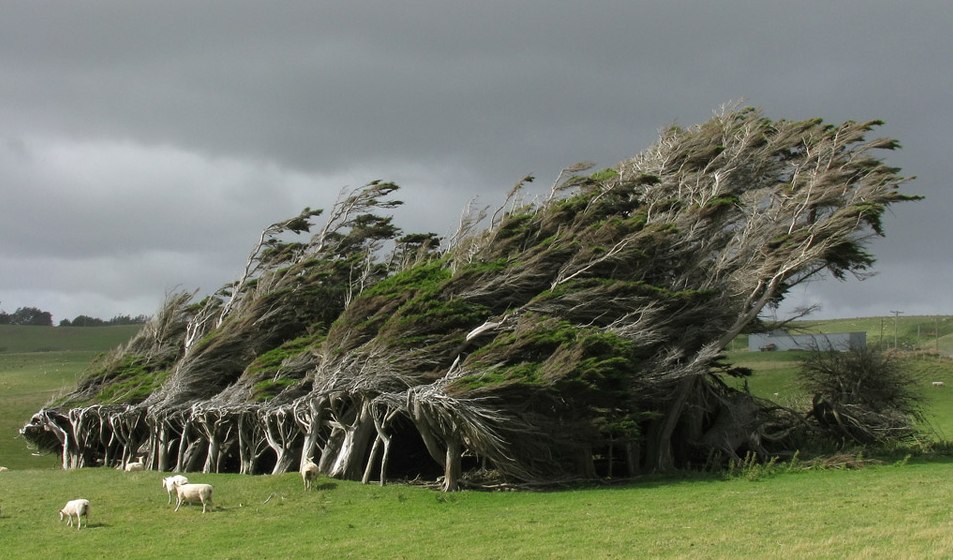 Spectacular views of New Zealand