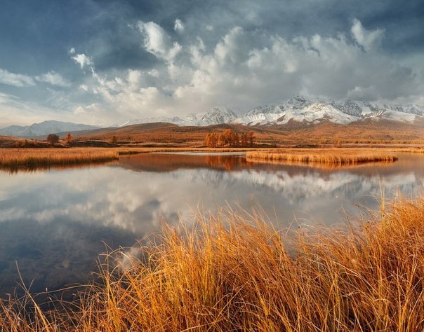 Morning on the Dzhazinkol lake in the Kuray steppe, Altai