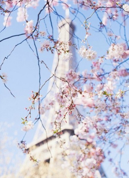 Весенний Париж, Франция