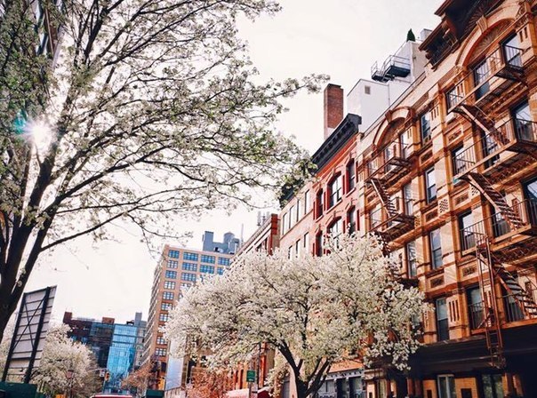 Весна на улицах Нью-Йорка, США - 6