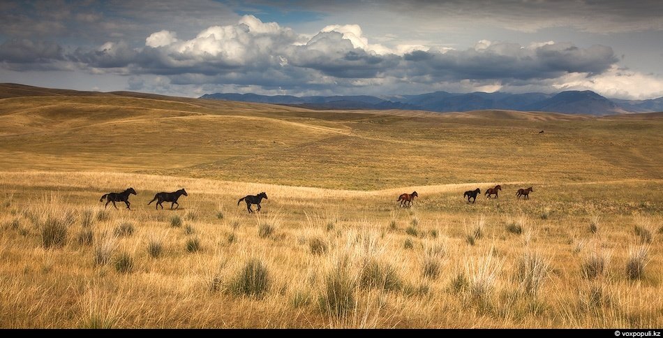 Природа Казахстану