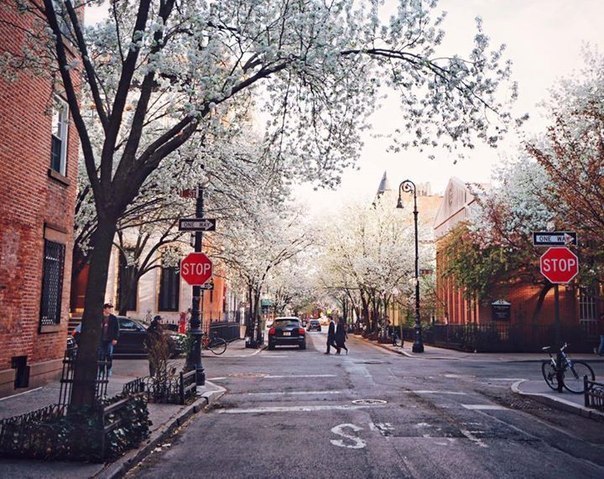 Весна на улицах Нью-Йорка, США - 8