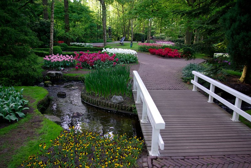 Парк цветов Кекенхоф,Нидерланды - 6