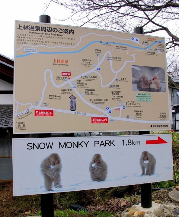 Джигокудани - парк снежных обезьян, Япония - 9