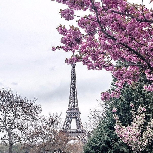 Париж, Франція - 5