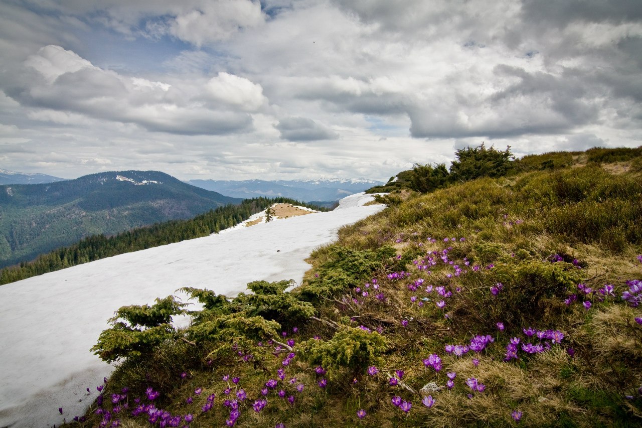 Немного прохлады весенних Карпат