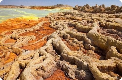 Отруйні краси пустелі Данакиль