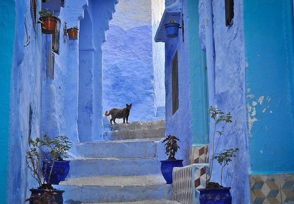 Шефшауен - старий синій місто в Марокко - 6
