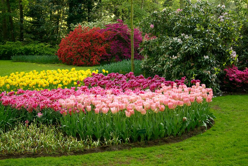 Парк квітів Кекенхоф, Нідерланди