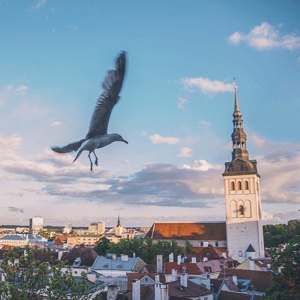 Tallinn, Estonia - 5