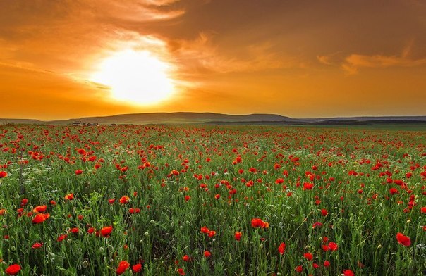 Красоты Крыма