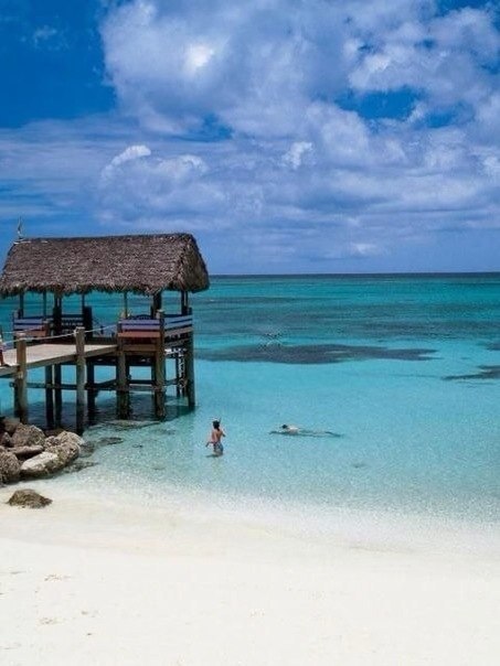 Bahamas - they are beautiful !. Good morning! - 5