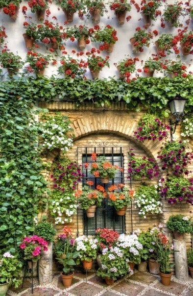 Цветущие улочки Испании