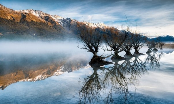 Новая Зеландия