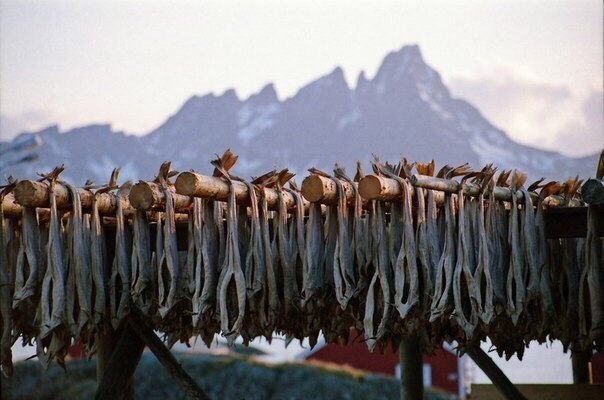 Красота Норвегии - 5