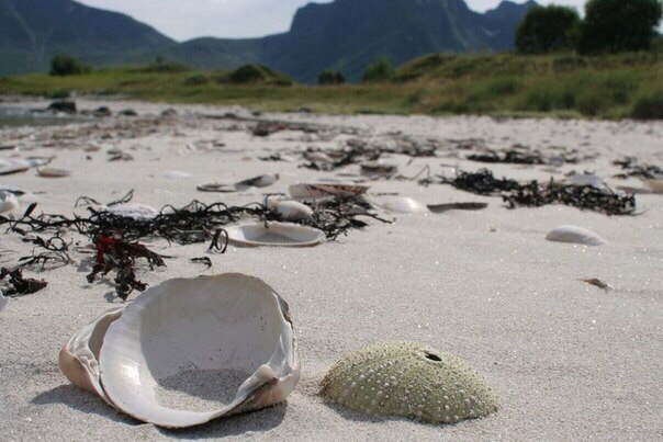 Красота Норвегии - 6