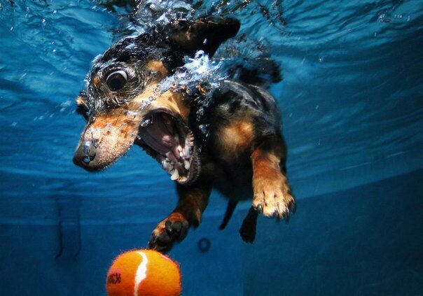 Хорошего настроения! - 8