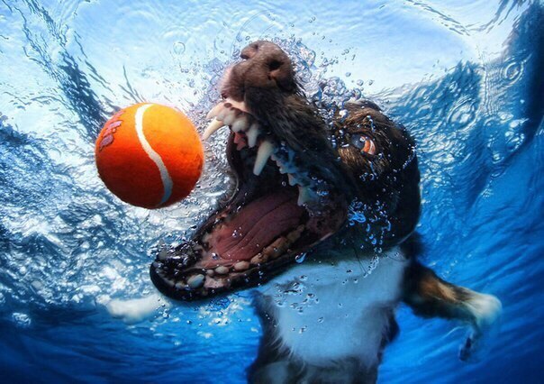 Хорошего настроения! - 6