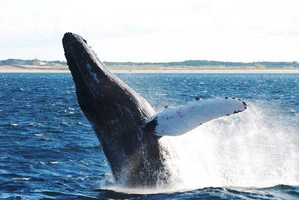 Рейкьявик, Исландия